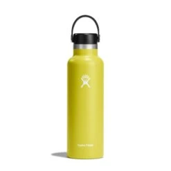 Hydro Flask 21 Oz Standard Mouth Water Bottle -Outdoor Camping Series Store s21sx752 cactus straighton