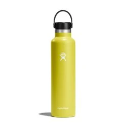 Hydro Flask 24 Oz Standard Mouth Water Bottle -Outdoor Camping Series Store s24fs752 cactus straighton 1